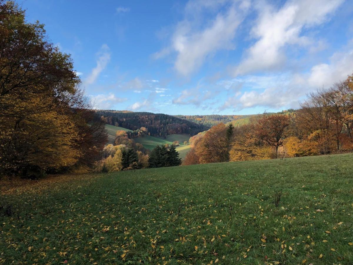 Burg Freienstein Blick 4 Sterne Mit Sauna Gammelsbach Экстерьер фото
