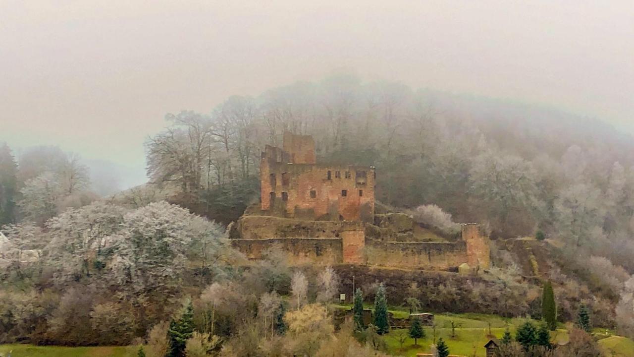Burg Freienstein Blick 4 Sterne Mit Sauna Gammelsbach Экстерьер фото
